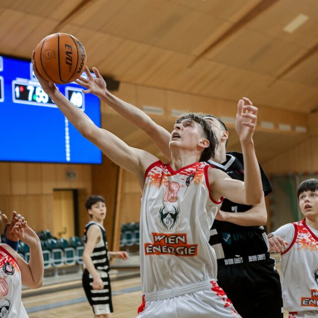 U14WL: Niederlage gegen Vienna United im Semifinale