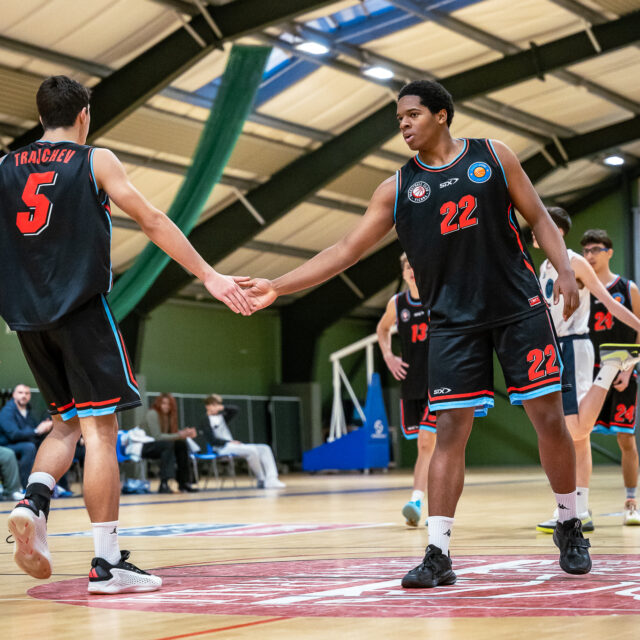 U16: Zwei Siege gegen Traiskirchen Lions und SKN St. Pölten